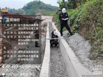 宜賓市水利局2024年水利工程監(jiān)督檢測